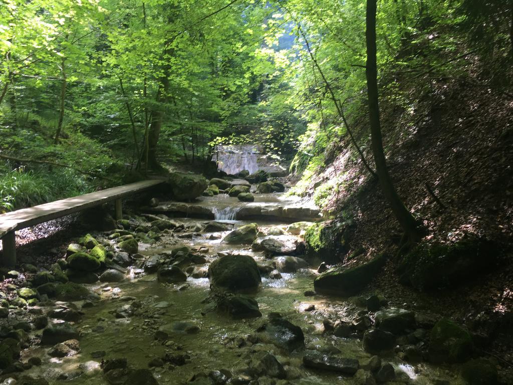 Bed And Breakfast Oase Im Seetal Gelfingen Экстерьер фото
