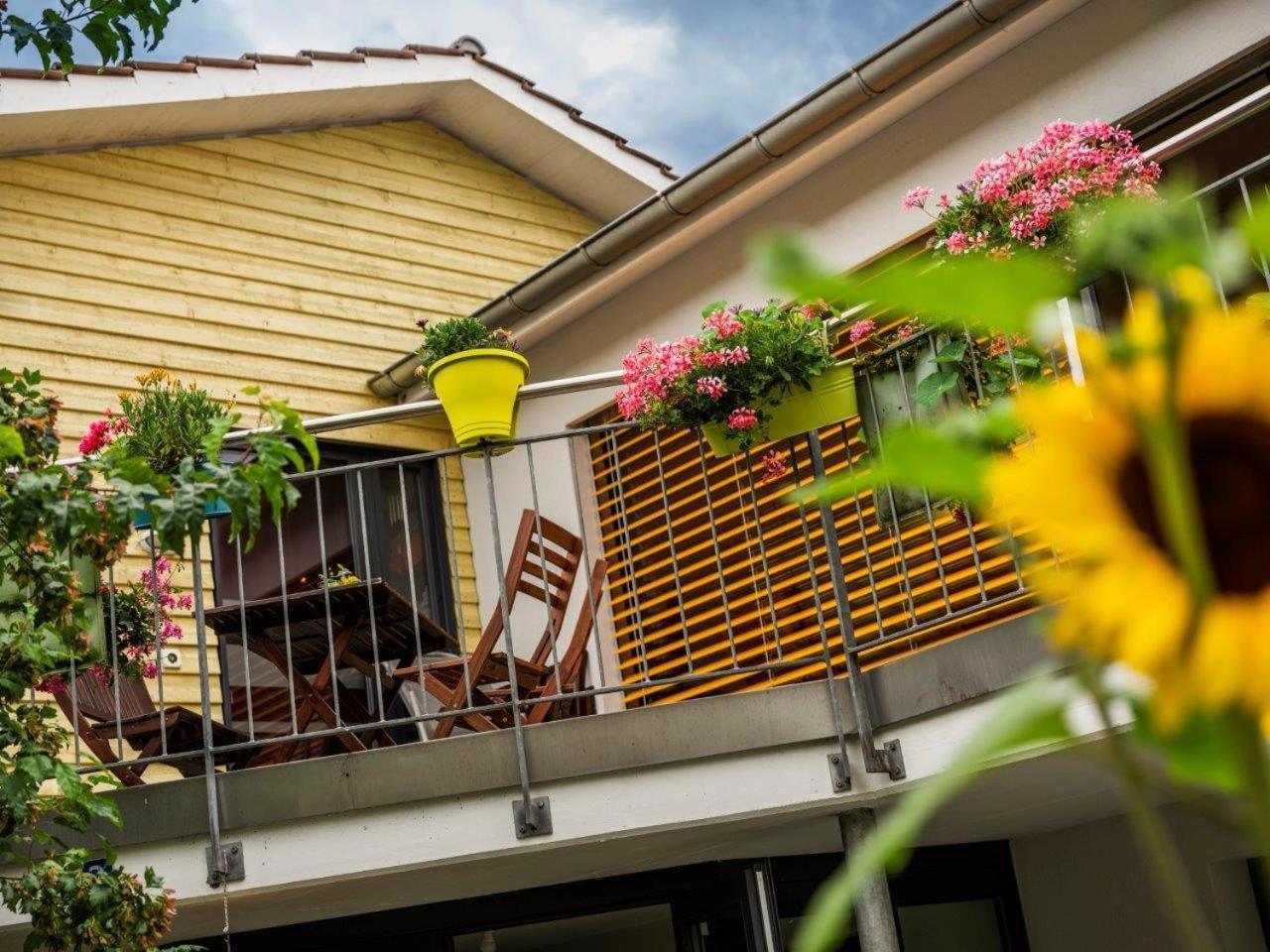 Bed And Breakfast Oase Im Seetal Gelfingen Экстерьер фото